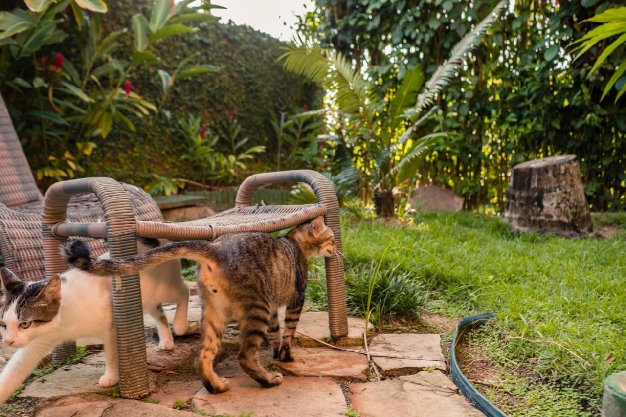Hotel Porto Do Zimbo モロ・デ・サンパウロ エクステリア 写真